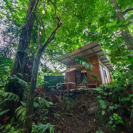 Апартаменти The Frog House La Fortuna Екстер'єр фото